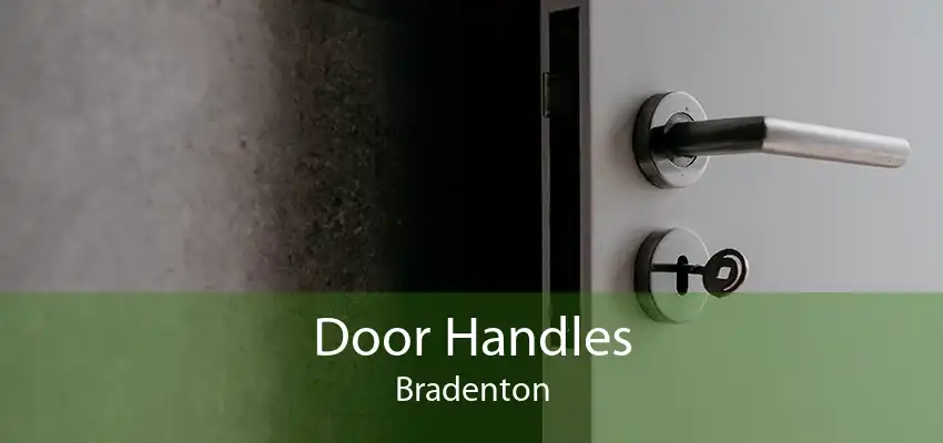 Door Handles Bradenton